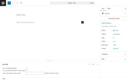 Page screenshot: Add Post ‹ Test site — WordPress