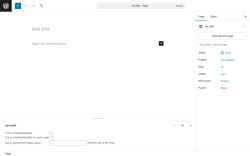 Page screenshot: Add Page ‹ Test site — WordPress