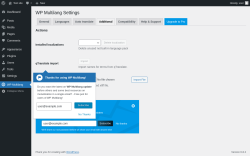 Page screenshot: WP Multilang → Additional
