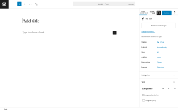 Page screenshot: Add Post ‹ Test site — WordPress
