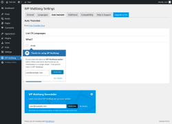 Page screenshot: WP Multilang → Auto translate