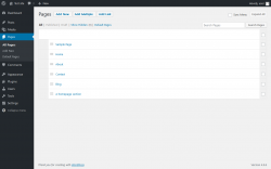 Page screenshot: Pages