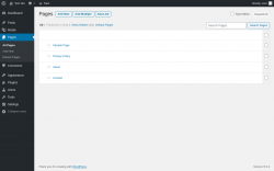 Page screenshot: Pages