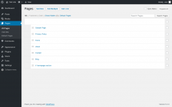Page screenshot: Pages