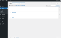 Page screenshot: Pages