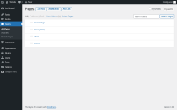 Page screenshot: Pages