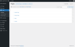 Page screenshot: Pages
