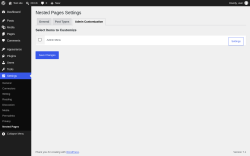 Page screenshot: Settings &rarr; Nested Pages &rarr; 
			Admin Customization		