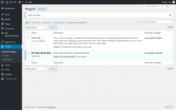 Page screenshot: Plugins &lsaquo; Test site &mdash; WordPress