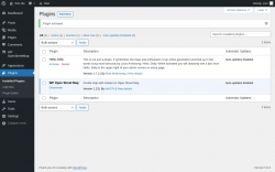 Page screenshot: Plugins &lsaquo; Test site &mdash; WordPress