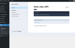Page screenshot: WP OpenAPI → oembed/1.0
