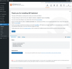 Page screenshot: WP-Optimize