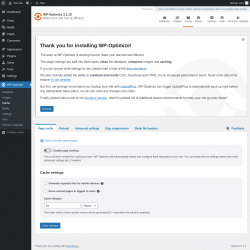 Page screenshot: WP-Optimize &rarr; Cache