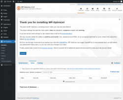 Page screenshot: WP-Optimize &rarr; 
				Tables
	