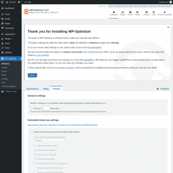 Page screenshot: WP-Optimize &rarr; 
			
			Feedback
		