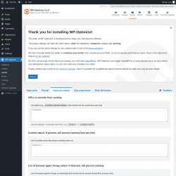 Page screenshot: WP-Optimize &rarr; Cache &rarr; 
				Advanced settings
	
