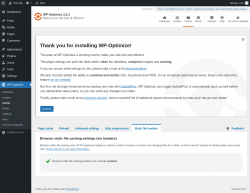 Page screenshot: WP-Optimize &rarr; Cache &rarr; 
			
			Feedback
		