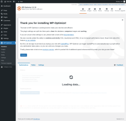Page screenshot: WP-Optimize