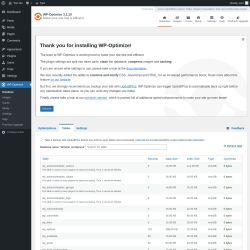 Page screenshot: WP-Optimize &rarr; 
				Tables
	