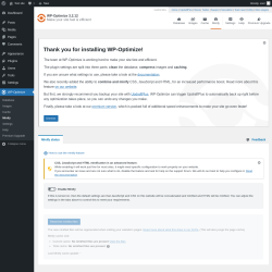 Page screenshot: WP-Optimize &rarr; Minify