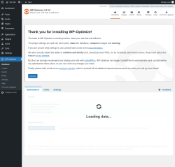 Page screenshot: WP-Optimize