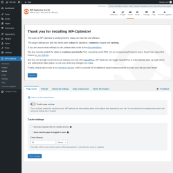 Page screenshot: WP-Optimize &rarr; Cache