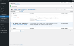 Page screenshot: Plugins &lsaquo; Test site &mdash; WordPress