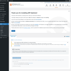 Page screenshot: WP-Optimize &rarr; Minify