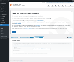 Page screenshot: WP-Optimize &rarr; Images &rarr; 
				Lazy-loadPremium
	