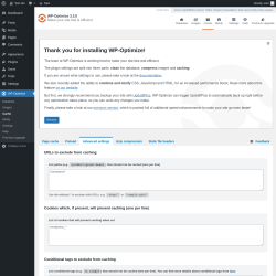 Page screenshot: WP-Optimize &rarr; Cache &rarr; 
				Advanced settings
	