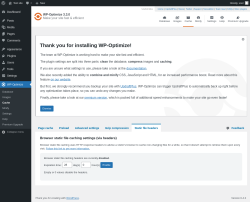 Page screenshot: WP-Optimize &rarr; Cache &rarr; 
			
			Feedback
		
