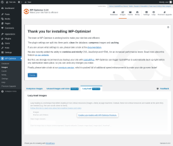 Page screenshot: WP-Optimize &rarr; Images &rarr; 
				Lazy-loadPremium
	
