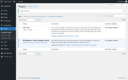 Page screenshot: Plugins &lsaquo; Test site &mdash; WordPress