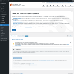 Page screenshot: WP-Optimize → Minify → 
				Google AnalyticsPremium
	