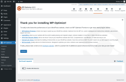 Page screenshot: WP-Optimize → Performance