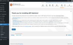 Page screenshot: WP-Optimize → Settings → 
				System status
	