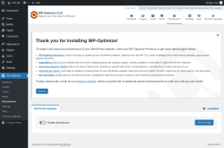 Page screenshot: WP-Optimize → Performance
