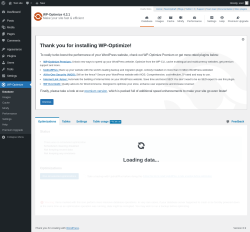 Page screenshot: WP-Optimize
