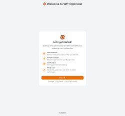 Page screenshot: WP-Optimize