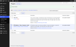 Page screenshot: Plugins &lsaquo; Test site &mdash; WordPress