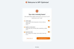 Page screenshot: WP-Optimize &rarr; Performance