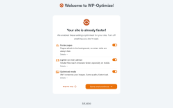 Page screenshot: WP-Optimize &rarr; Settings &rarr; 
				System status
	