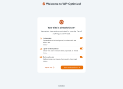 Page screenshot: WP-Optimize &rarr; 
				Table usagePremium
	