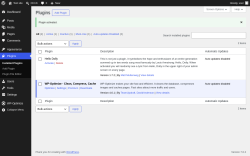 Page screenshot: Plugins &lsaquo; Test site &mdash; WordPress