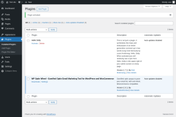 Page screenshot: Plugins ‹ Test site — WordPress