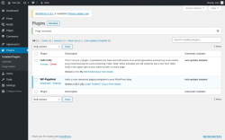 Page screenshot: Plugins &lsaquo; Test site &mdash; WordPress