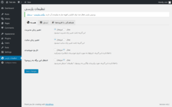 Page screenshot: تنظیمات پارسی