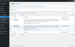 Page screenshot: Plugins &lsaquo; Test site &mdash; WordPress