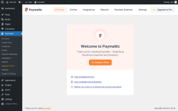 Page screenshot: Paymattic
