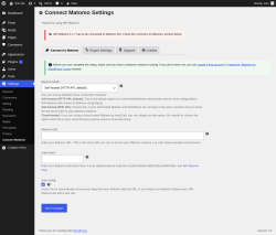 Page screenshot: Settings &rarr; Connect Matomo